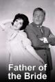Father of the Bride (TV Series)