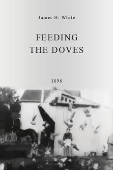 Feeding the Doves (C)
