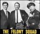 Felony Squad (AKA The Felony Squad) (TV Series) (Serie de TV)