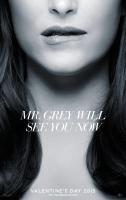 Fifty Shades of Grey  - Posters