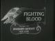 Fighting Blood (C)