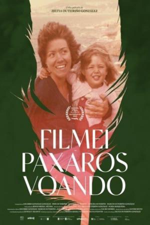 Filmei paxaros voando 