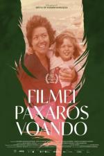 Filmei paxaros voando 