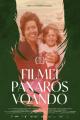 Filmei paxaros voando 