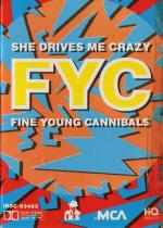 Fine Young Cannibals: She Drives Me Crazy (Music Video)