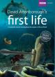 First Life (TV Miniseries)