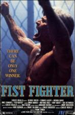 Fist Fighter 