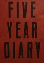 Five Year Diary – Reel 23: A Breakdown (and) After the Mental Hospital 