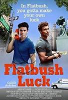 Flatbush Luck  - Poster / Main Image