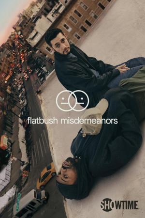 Flatbush Misdemeanors (Serie de TV)