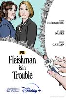 Fleishman está en apuros (Miniserie de TV) - Posters