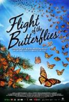 Flight of the Butterflies  - Poster / Imagen Principal