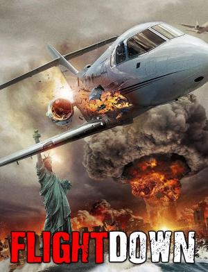 Flightdown 