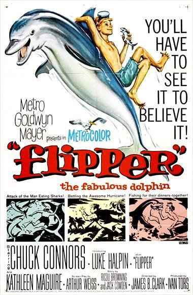 procedimiento trigo Elevado Mi amigo Flipper (1963) - Filmaffinity