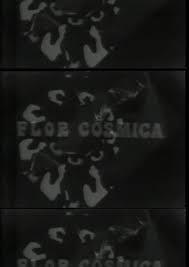 Flor cósmica (C)