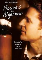 Flowers For Algernon (TV) - Poster / Main Image
