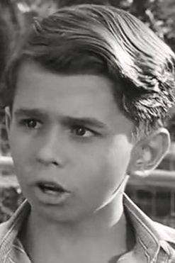 Freddie Mercer