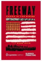 Freeway: Crack in the System 