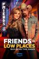 Friends in Low Places (TV Series)