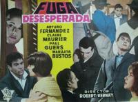 Fuga desesperada  - Poster / Imagen Principal