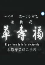 El perfume de la flor de Adonis 