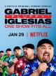 Gabriel "Fluffy" Iglesias: One Show Fits All 