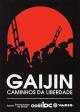 Gaijin, a Brazilian Odyssey 
