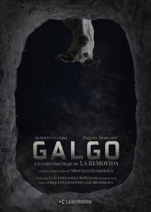Galgo (S)