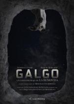 Galgo (S)