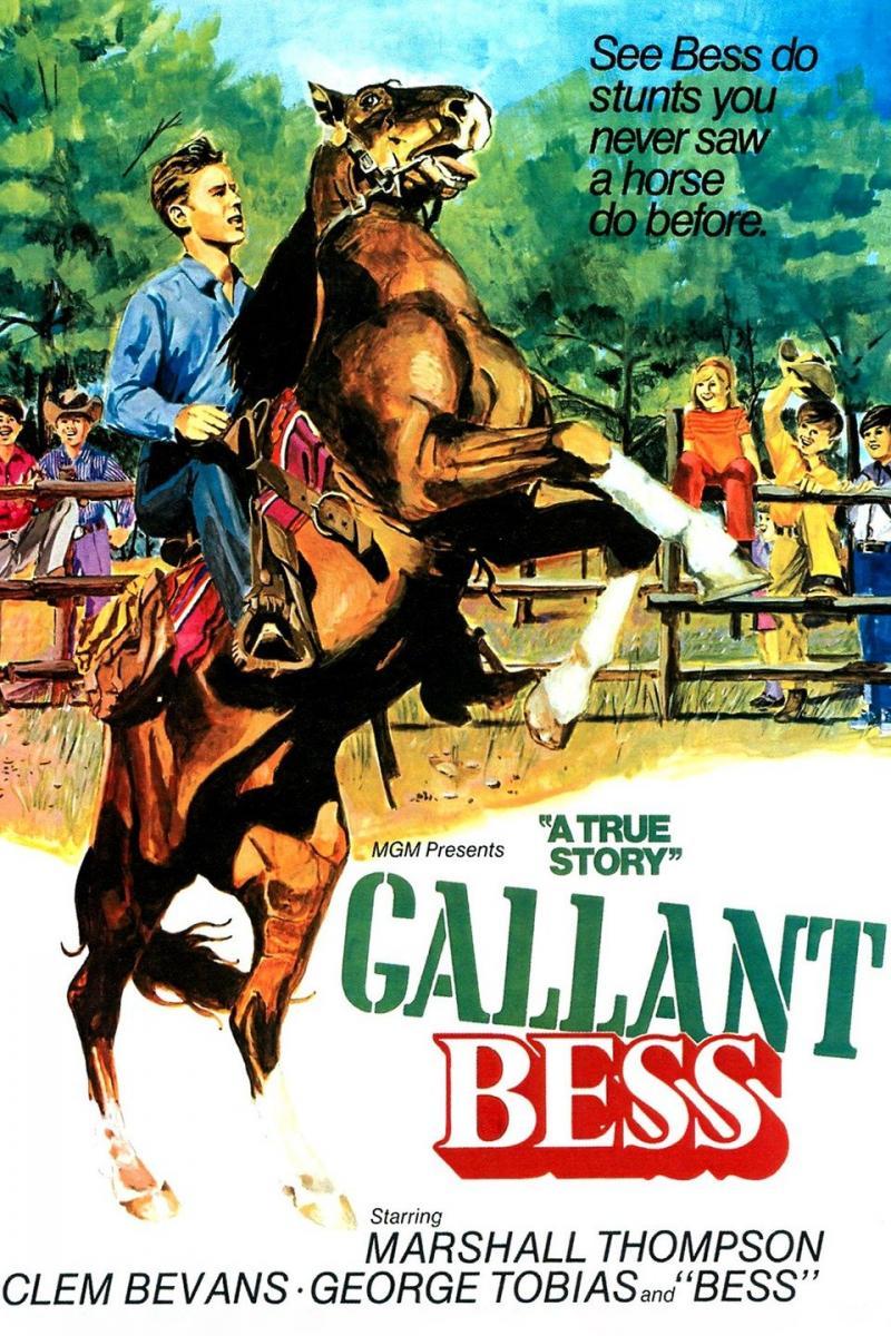 Gallant Bess  - Poster / Main Image