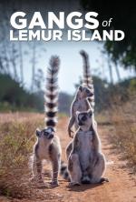 Gangs of Lemur Island (TV Series)