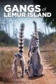 Bandas de la isla de los lémures (Serie de TV)