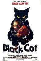 El gato negro  - Poster / Imagen Principal