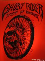 Ghost Rider: Spirit of Vengeance  - 