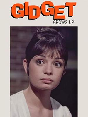 Gidget ya no es una niña (TV)