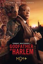 Godfather of Harlem (Serie de TV)