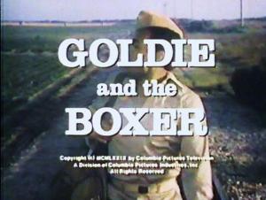 Goldie and the Boxer (TV)