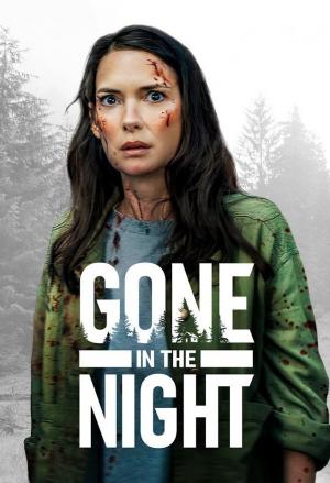 Desaparecido a medianoche 