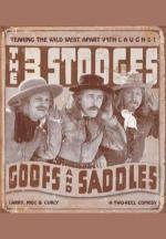 Goofs and Saddles (S)