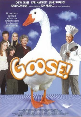 Goose on the Loose 