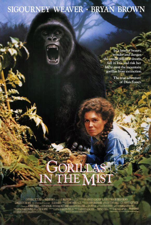 Gorilas en la niebla  - Poster / Imagen Principal