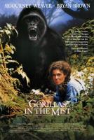 Gorillas in the Mist  - Poster / Main Image