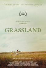 Grassland 