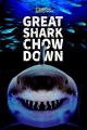 Great Shark Chow Down 