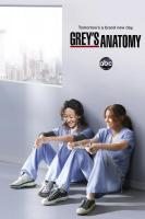 Anatomía de Grey (Serie de TV) - Posters