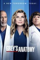 Grey's Anatomy (TV Series) - Posters