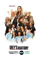Anatomía de Grey (Serie de TV) - Posters