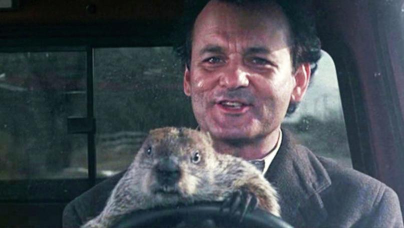 groundhog day how to watch