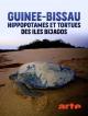 Guinée-Bissau - Hippopotames et tortues des îles Bijagos (TV)