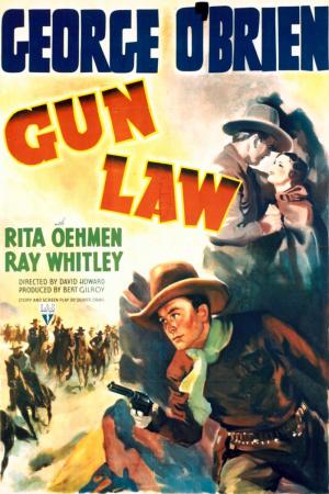 Gun Law 